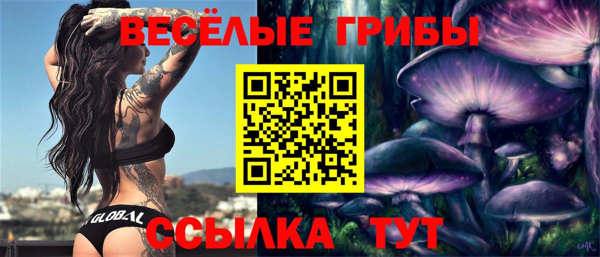 закладка  Псилоцибиновые грибы прущие грибы  Арсеньев  Вход с VPN  Галлюциногенные грибы GOLDEN TEACHER 