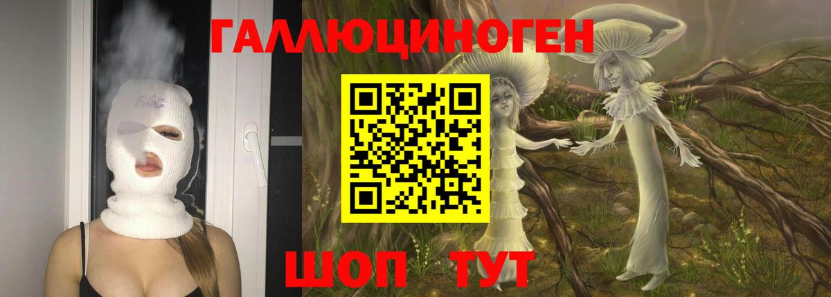 Псилоцибиновые грибы GOLDEN TEACHER Арсеньев